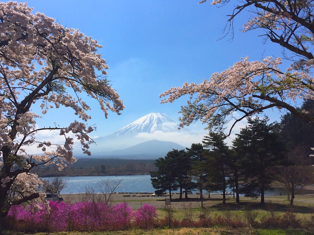 富士山